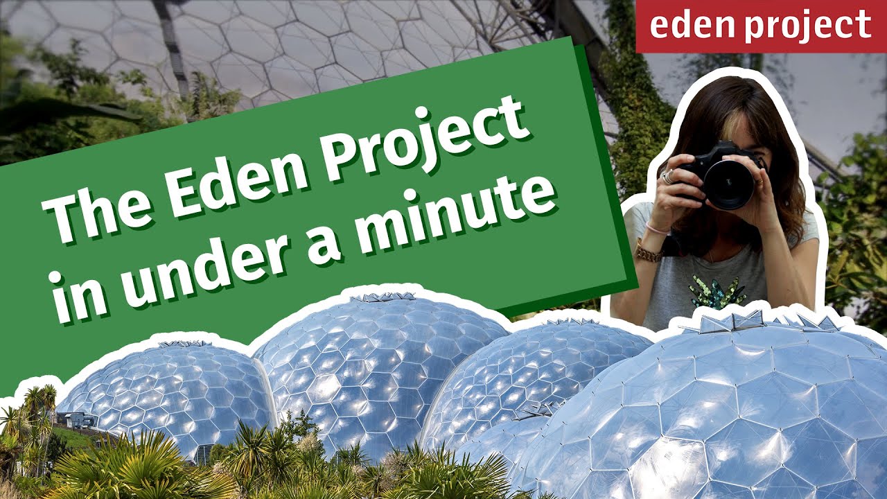 Exploring the Wonders of the Eden Project: A Nature Lover's Guide to Cornwall
