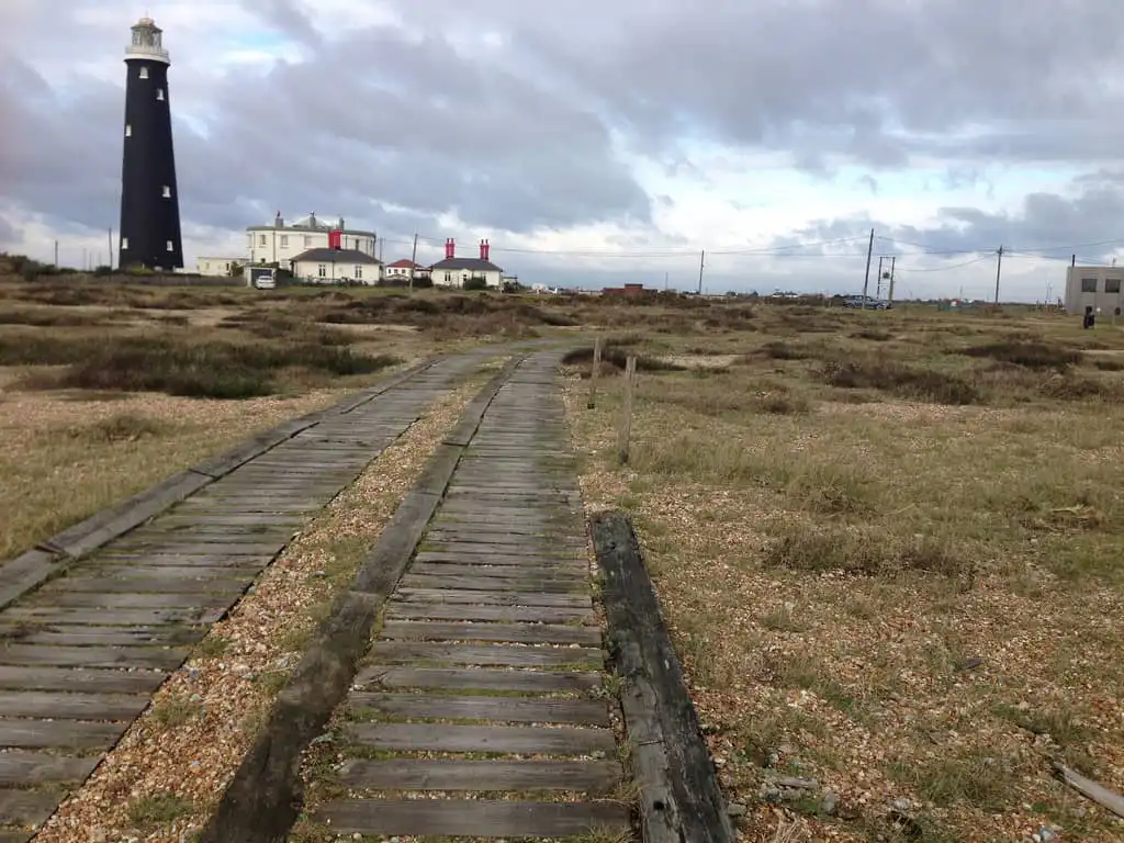 Dungeness photo