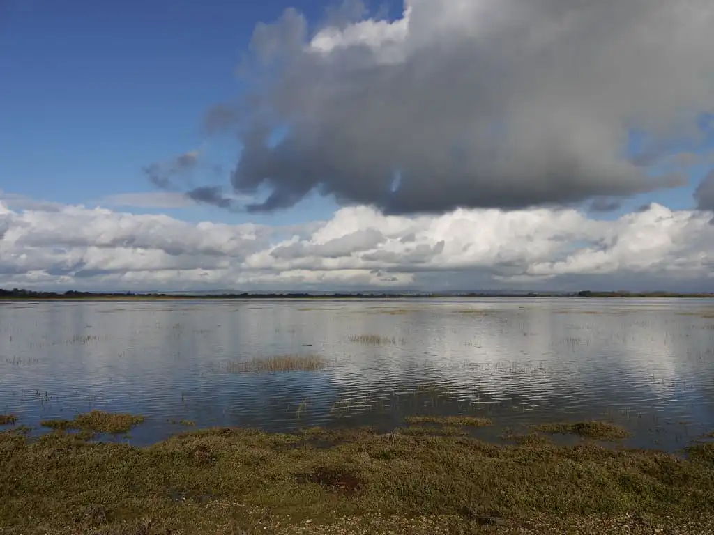 Pagham Harbour photo
