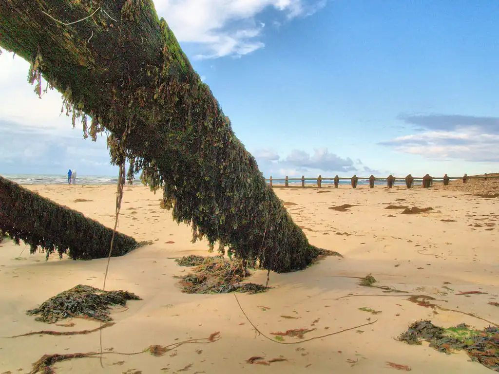 littlehampton west beach photo