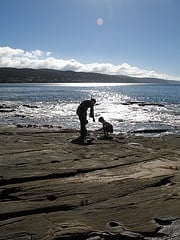 beachcombing photo