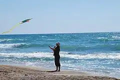 beach kite flying photo