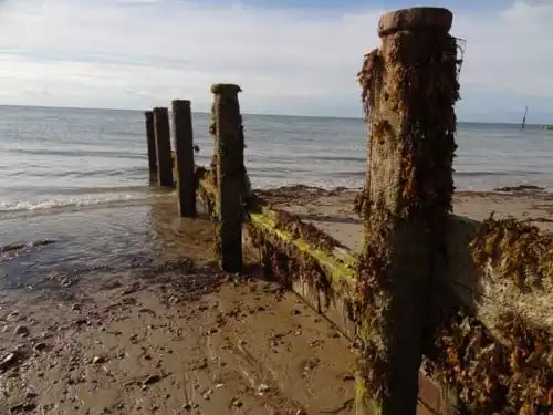 Wooden groynes on the British coastline
