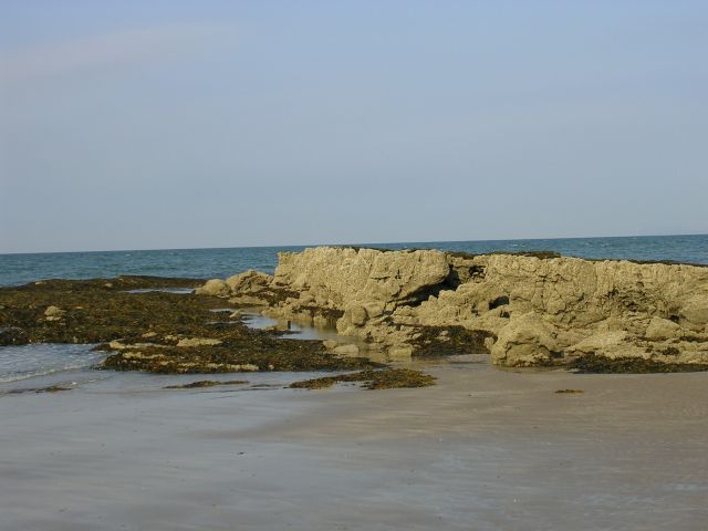 St-Davids-beach
