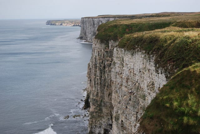 Bempton-Cliffs