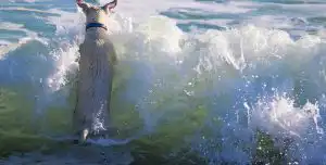 UK dog-friendly beaches