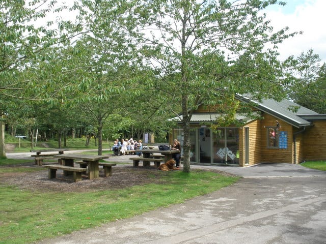 Haldon-Forest-Park