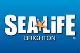 sea-life-brighton-1