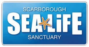 sea-life-scarborough