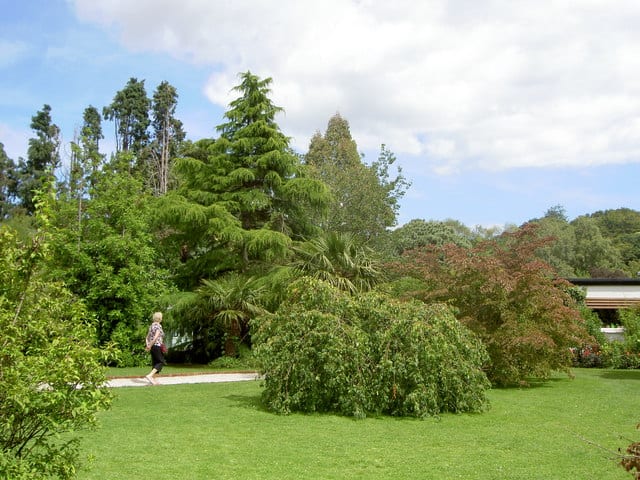 Mount-Usher-gardens