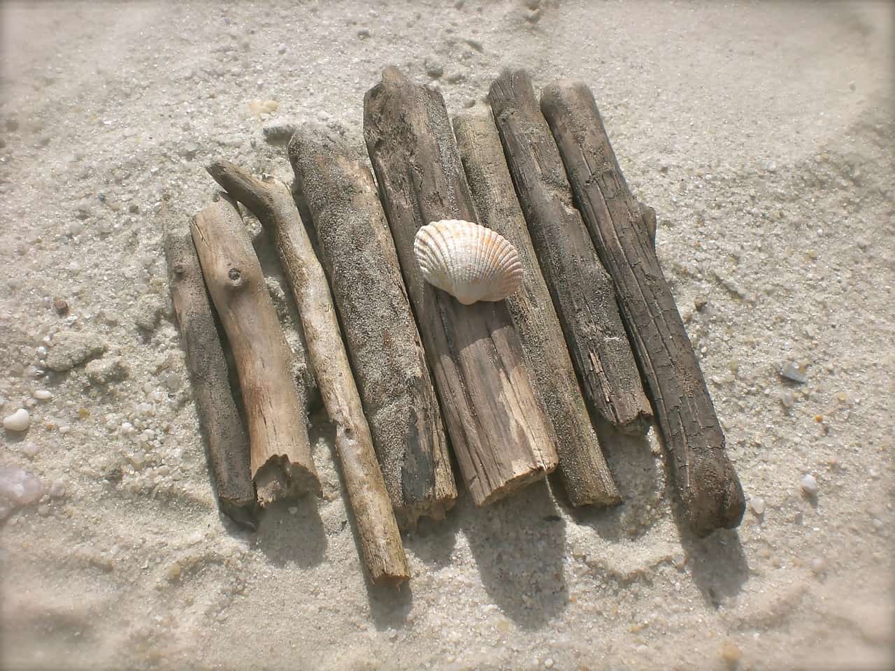 driftwood photo