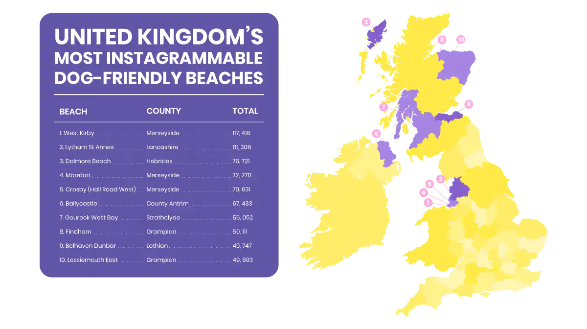 UK’s top 5 most instagrammable dog-friendly beach