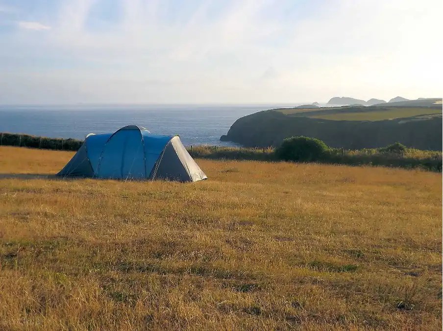 Grass pitches with views over the coast at St Davids Farm Camping