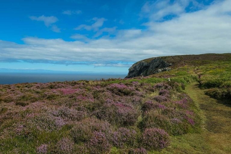 Bradda Head 1010012 768x512
