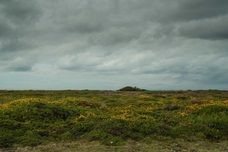 Point of Ayre 01018 1 768x512