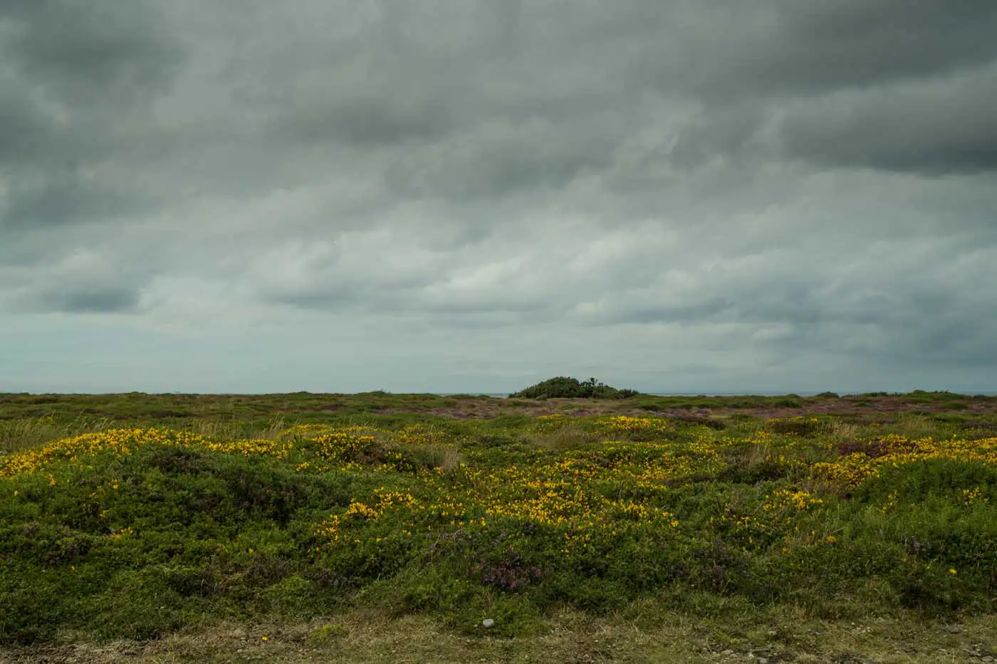 Ayres Nature Discovery Centre and Nature Trail