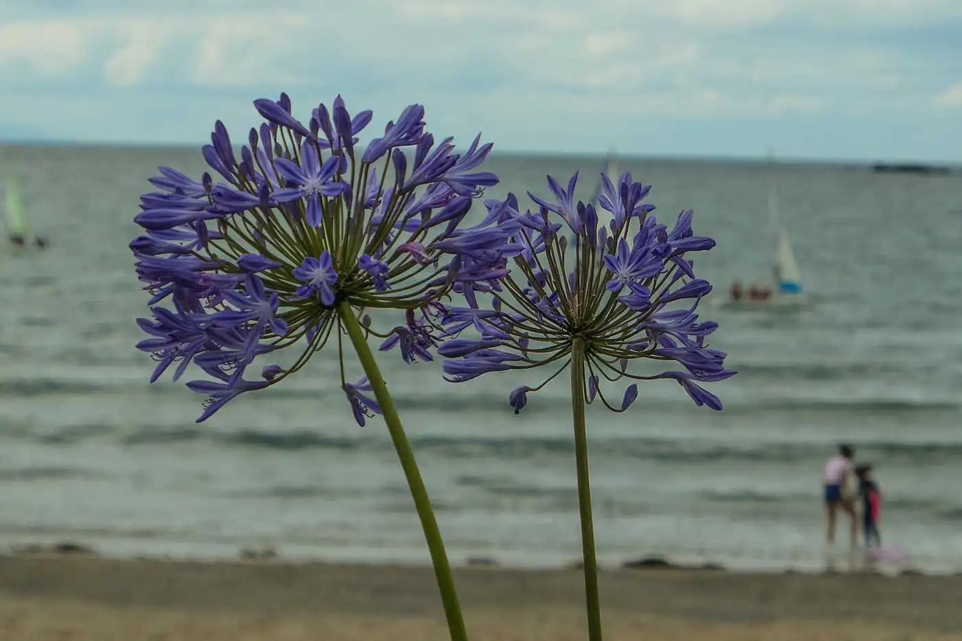 Port Erin Beach
