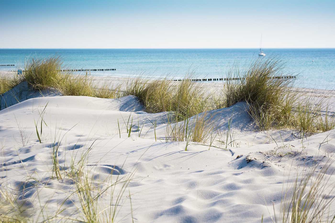 Snow on the beach dunes overlooking the sea