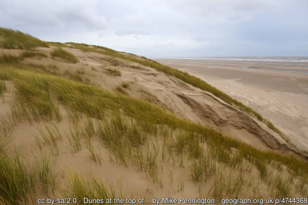 Ainsdale Sand Dunes