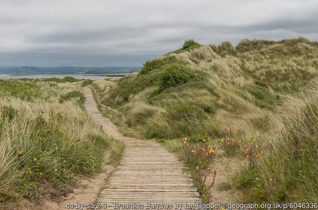 Braunton Burrows