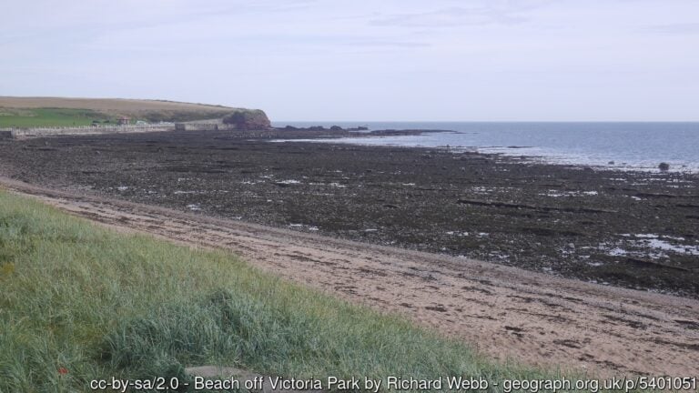 Victoria Park Beach 768x432