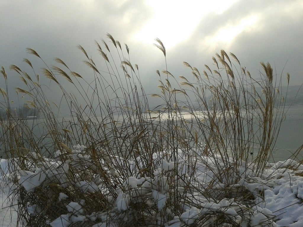 Coastal Walks to See Wildlife This Winter