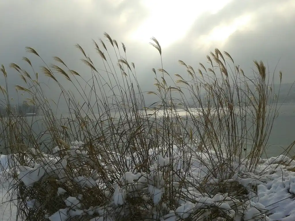Coastal Walks to See Wildlife This Winter