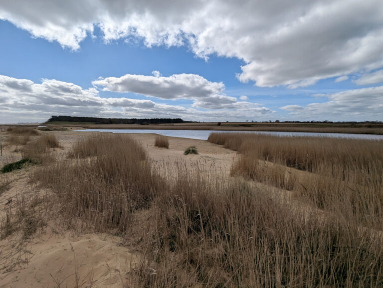 Covehithe Broad 768x578
